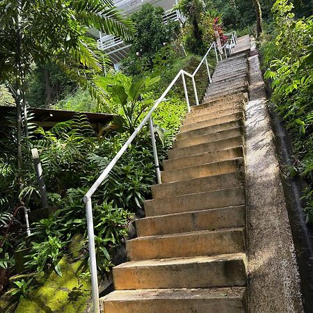 Funky Monkey Lodge Playa Santa Teresa  ภายนอก รูปภาพ