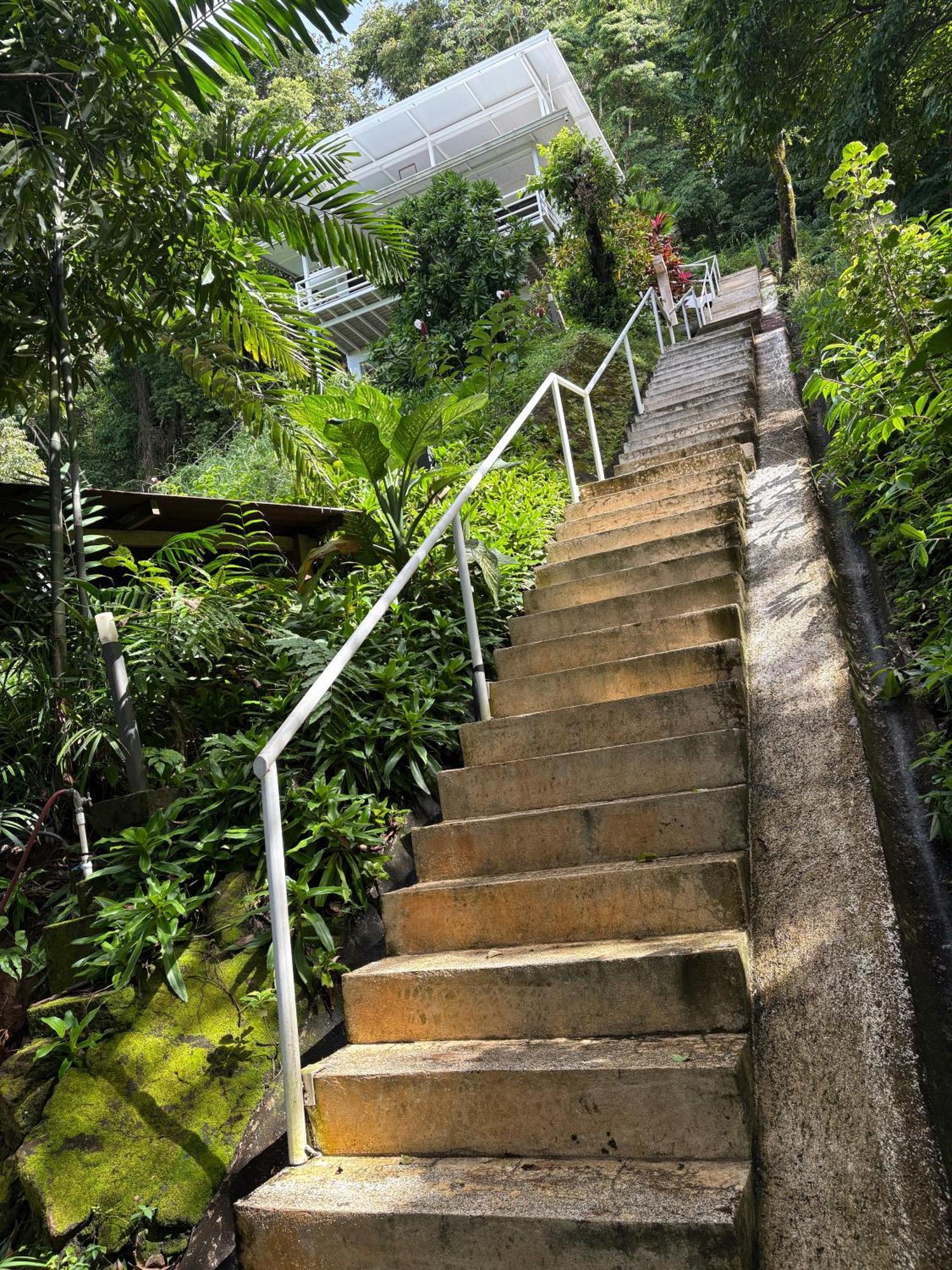 Funky Monkey Lodge Playa Santa Teresa  ภายนอก รูปภาพ