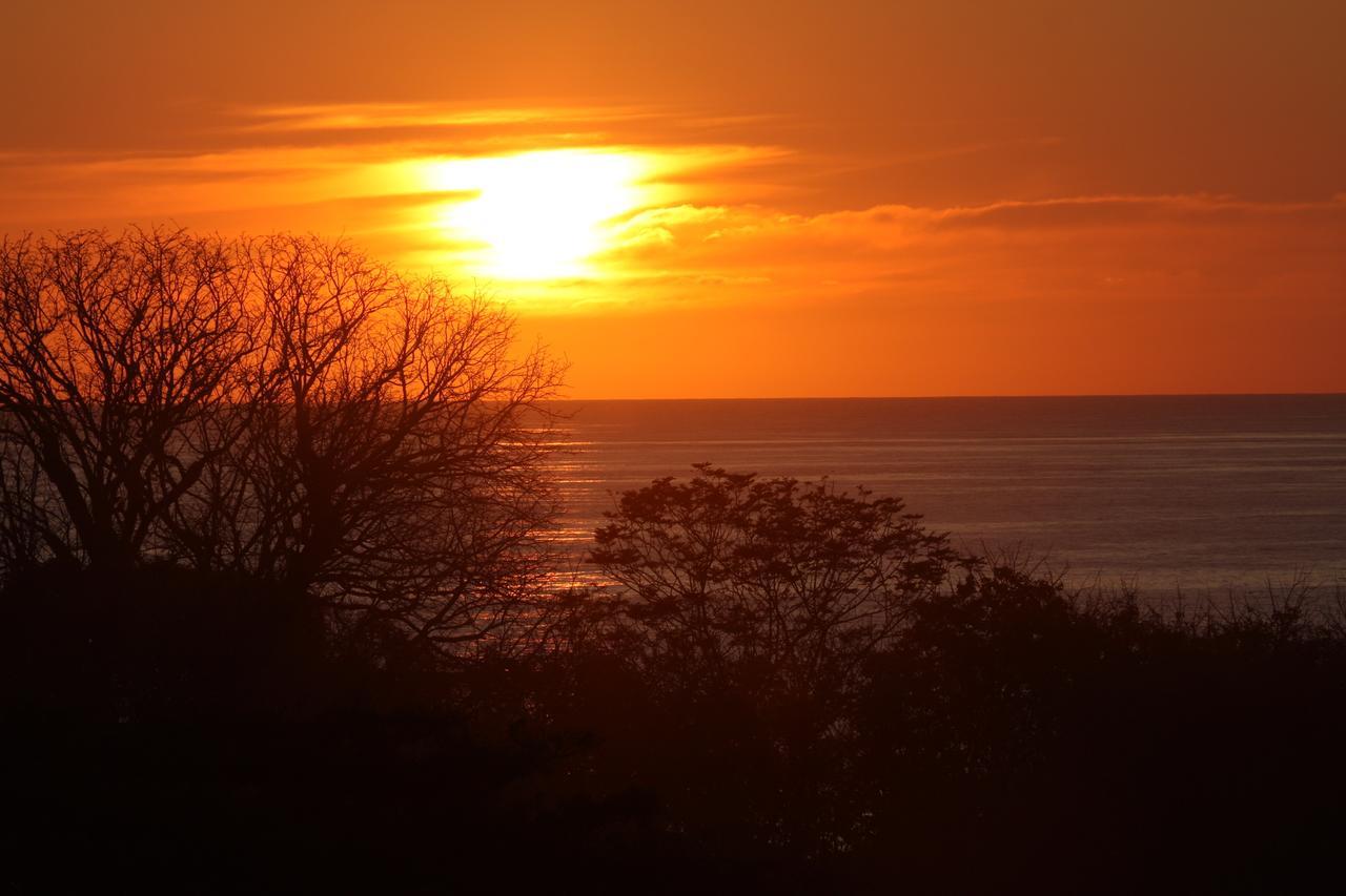 Funky Monkey Lodge Playa Santa Teresa  ภายนอก รูปภาพ