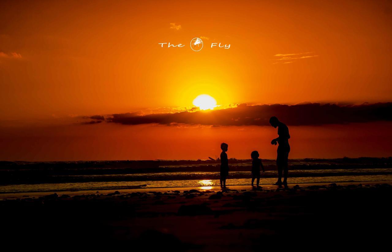 Funky Monkey Lodge Playa Santa Teresa  ภายนอก รูปภาพ