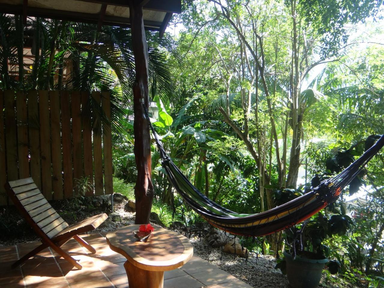 Funky Monkey Lodge Playa Santa Teresa  ภายนอก รูปภาพ