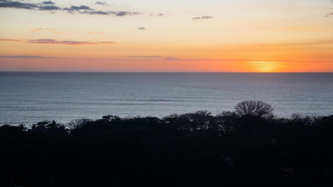 Funky Monkey Lodge Playa Santa Teresa  ภายนอก รูปภาพ